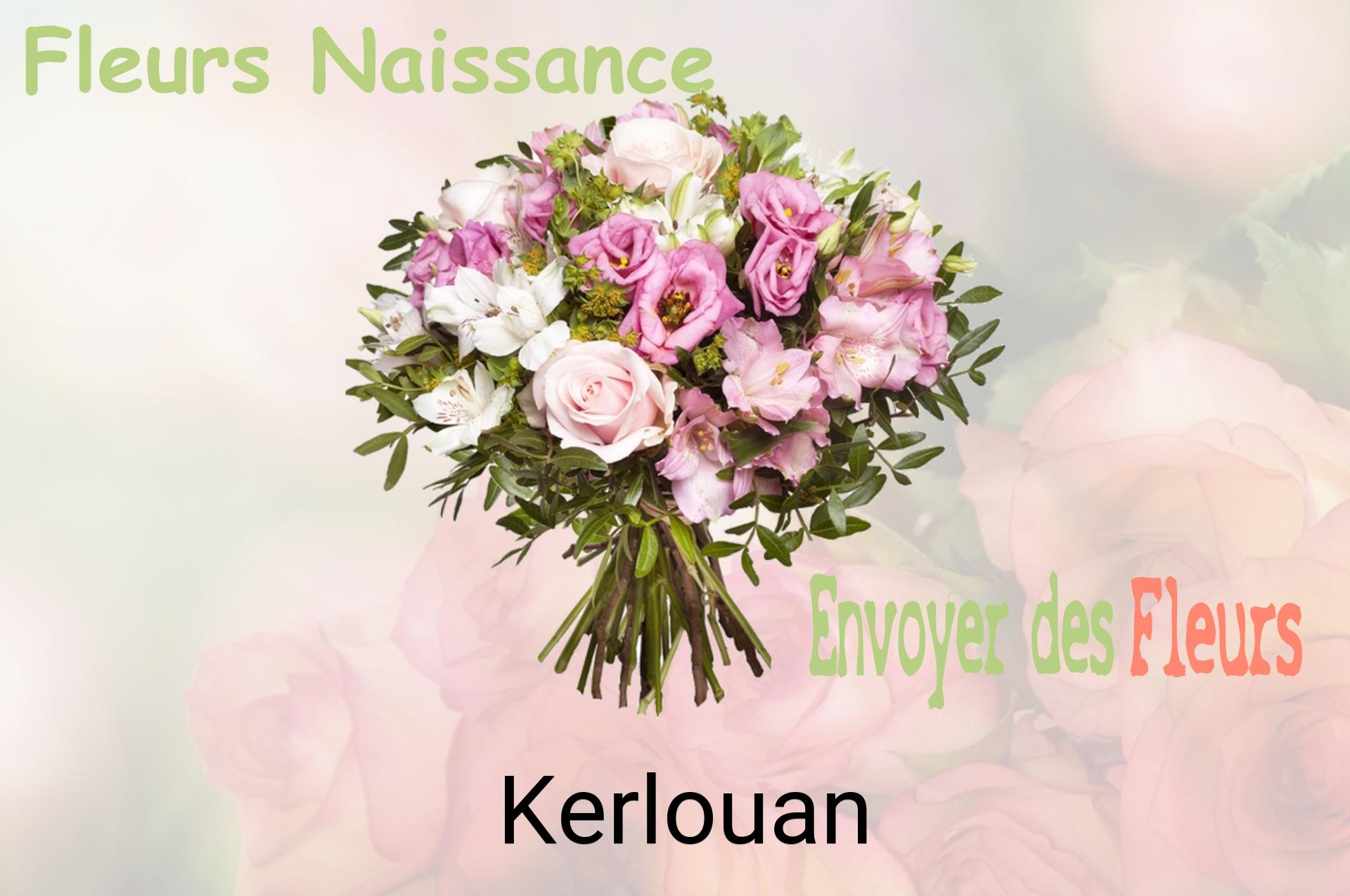 Bouquet de fleurs de naissance livré à Kerlouan